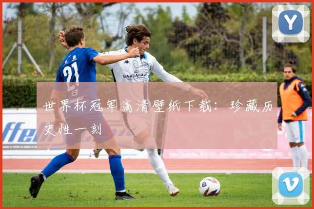 世界杯冠军高清壁纸下载：珍藏历史性一刻