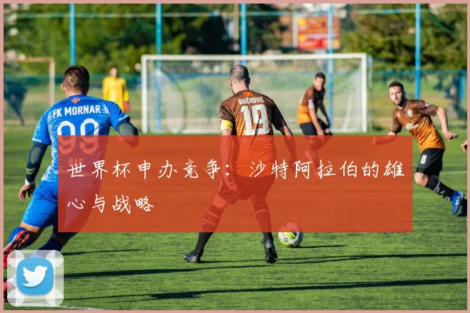 世界杯申办竞争:沙特阿拉伯的雄心与战略
